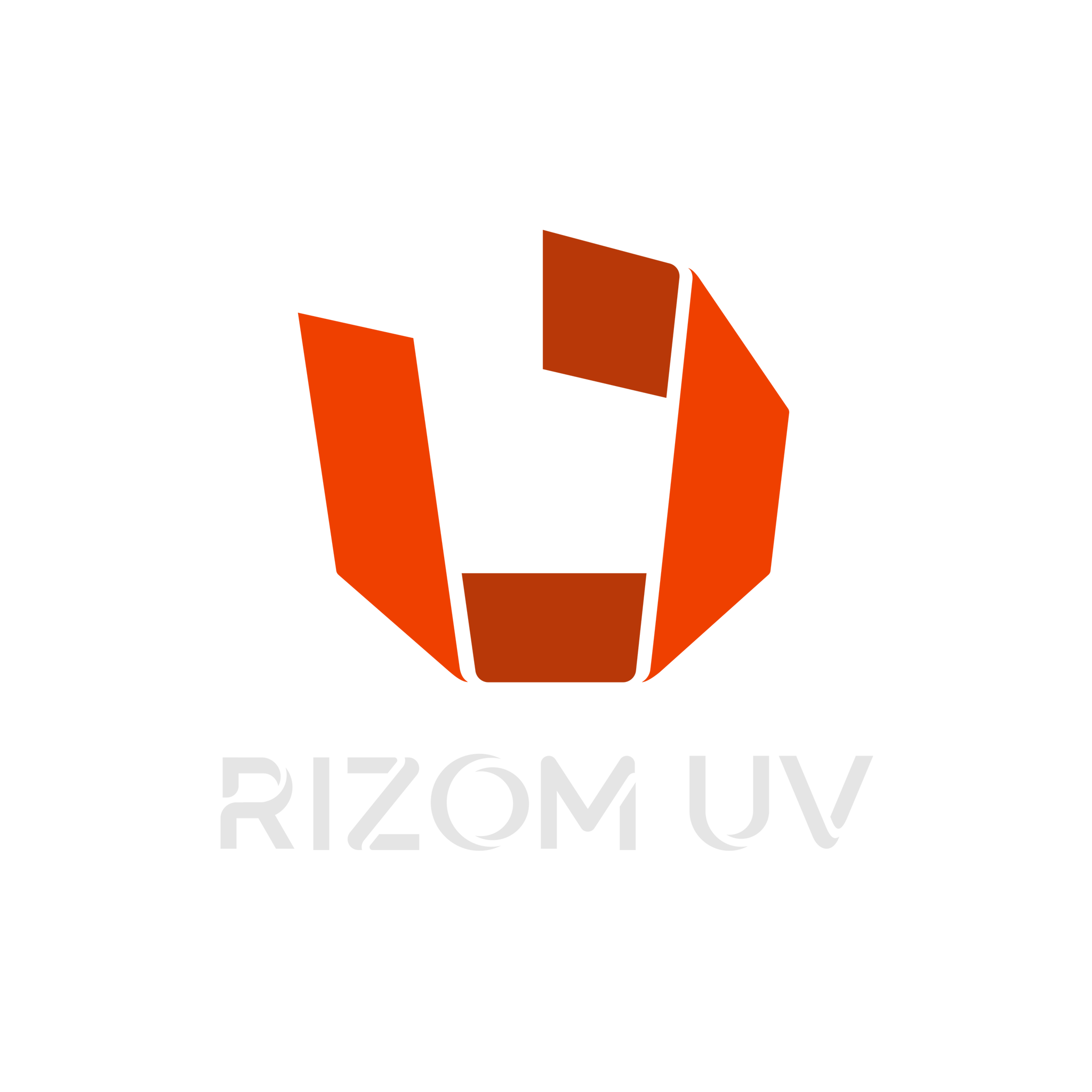RizomUV Logo
